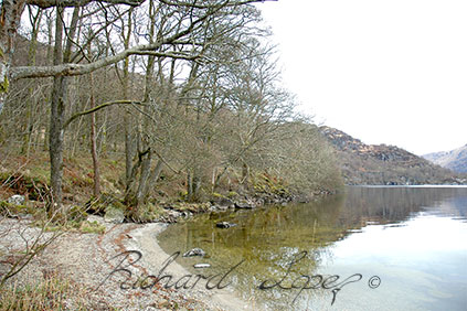 Cambrian Lake - Landscape photography