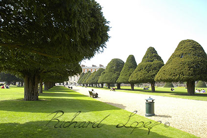 Hampton Court - Landscape photography