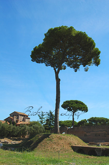 Old Rome - Landscape photography