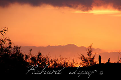 Landscape photography - Sunset in Malta